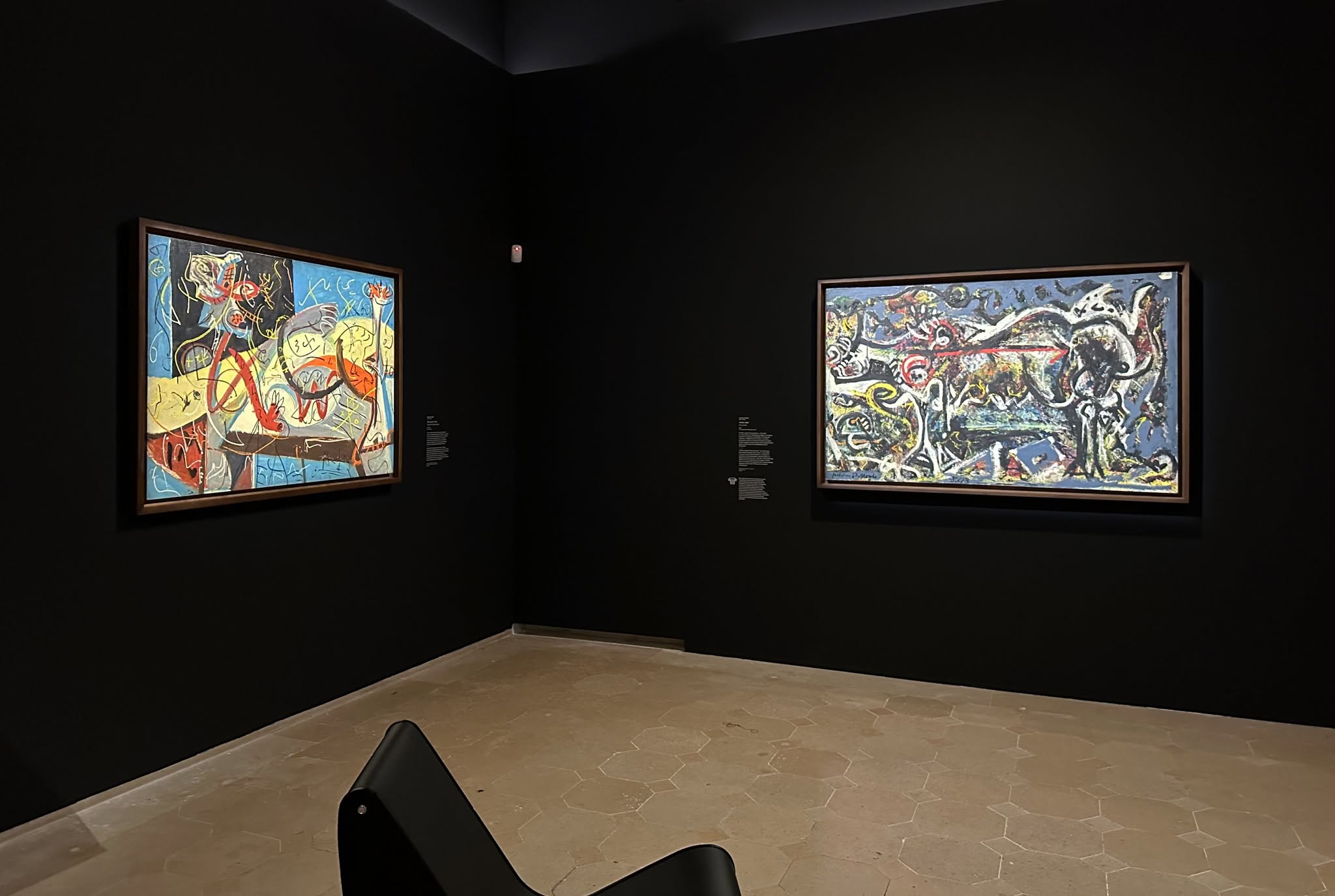 Triển lãm Jackson Pollock tại Bảo tàng Picasso Paris - 14
